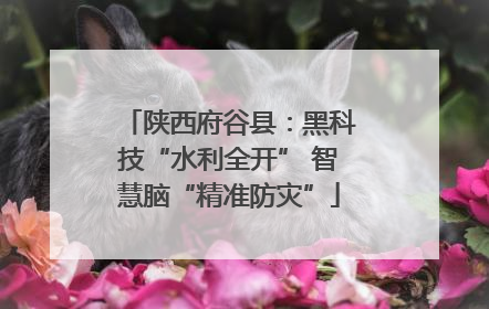 陕西府谷县：黑科技“水利全开” 智慧脑“精准防灾”