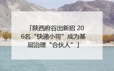 陕西府谷出新招 206名“快递小哥”成为基层治理“合伙人”