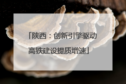 陕西：创新引擎驱动高铁建设提质增速