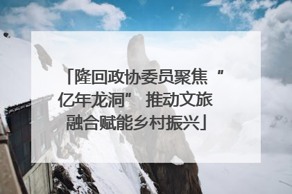 隆回政协委员聚焦“亿年龙洞” 推动文旅融合赋能乡村振兴