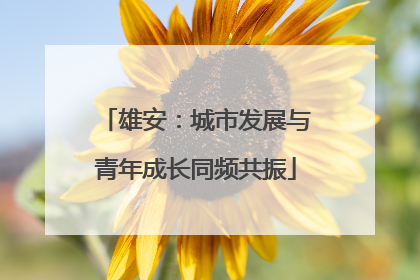 雄安：城市发展与青年成长同频共振