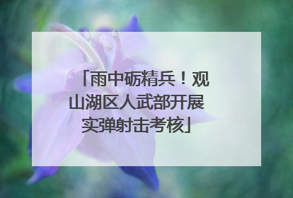雨中砺精兵！观山湖区人武部开展实弹射击考核