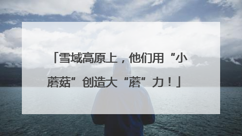 雪域高原上，他们用“小蘑菇”创造大“蘑”力！