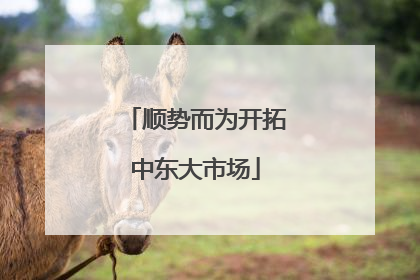顺势而为开拓中东大市场