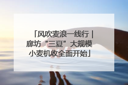 风吹麦浪一线行｜廊坊“三夏”大规模小麦机收全面开始