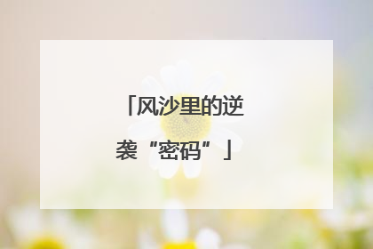 风沙里的逆袭“密码”