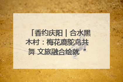 香约庆阳｜合水黑木村：梅花鹿鸵鸟共舞 文旅融合绘就“诗与远方”