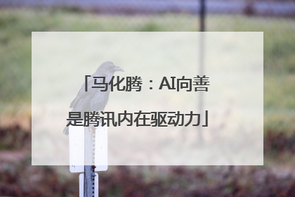 马化腾：AI向善是腾讯内在驱动力