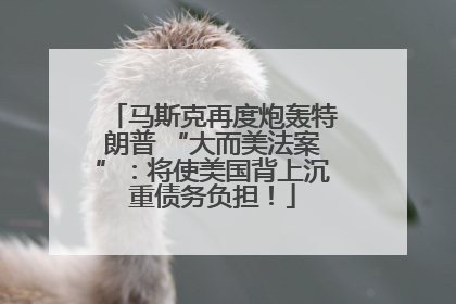 马斯克再度炮轰特朗普 “大而美法案”：将使美国背上沉重债务负担！