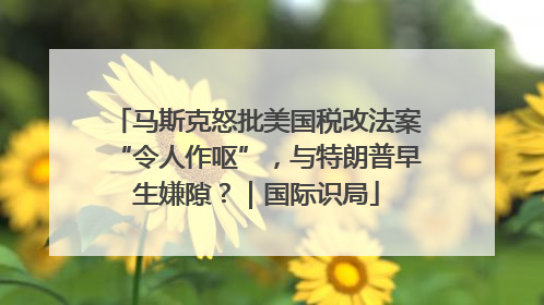 马斯克怒批美国税改法案“令人作呕”，与特朗普早生嫌隙？｜国际识局