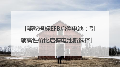 骆驼橙标EFB启停电池：引领高性价比启停电池新选择
