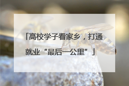 高校学子看家乡，打通就业“最后一公里”