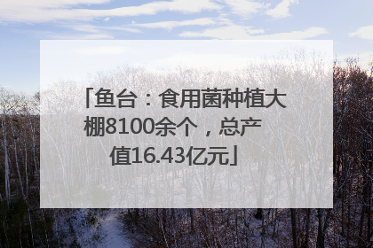 鱼台：食用菌种植大棚8100余个，总产值16.43亿元