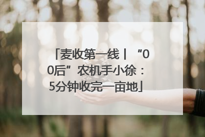 麦收第一线丨“00后”农机手小徐：5分钟收完一亩地