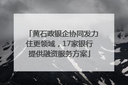 黄石政银企协同发力住更领域，17家银行提供融资服务方案