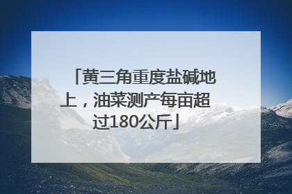 黄三角重度盐碱地上，油菜测产每亩超过180公斤
