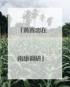黄喜忠在南康调研