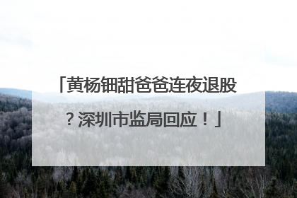 黄杨钿甜爸爸连夜退股？深圳市监局回应！
