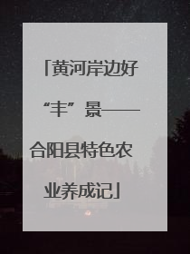 黄河岸边好“丰”景——合阳县特色农业养成记