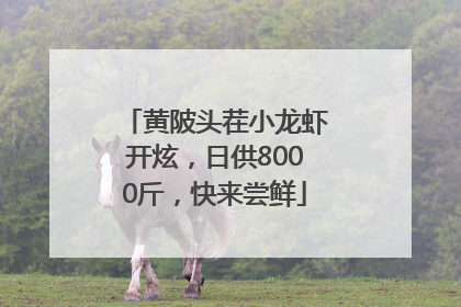 黄陂头茬小龙虾开炫，日供8000斤，快来尝鲜