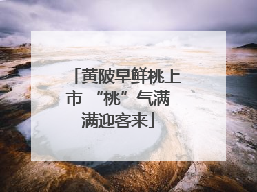 黄陂早鲜桃上市 “桃”气满满迎客来