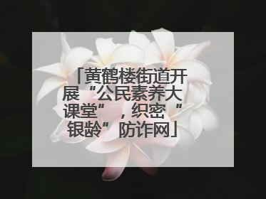 黄鹤楼街道开展“公民素养大课堂”,织密“银龄”防诈网