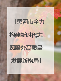 黑河市全力构建新时代志愿服务高质量发展新格局