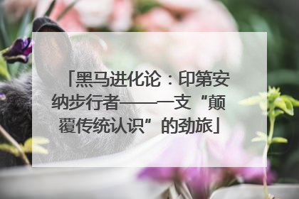 黑马进化论：印第安纳步行者——一支“颠覆传统认识”的劲旅