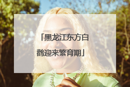 黑龙江东方白鹳迎来繁育期