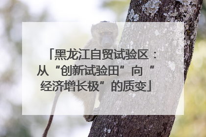 黑龙江自贸试验区：从“创新试验田”向“经济增长极”的质变