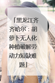 黑龙江齐齐哈尔：胡萝卜无人化种植破解劳动力短缺难题