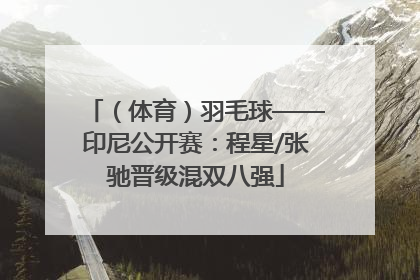 （体育）羽毛球——印尼公开赛：程星/张驰晋级混双八强