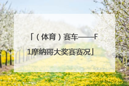 （体育）赛车——F1摩纳哥大奖赛赛况