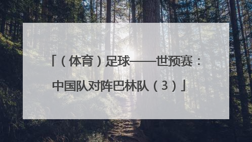 （体育）足球——世预赛：中国队对阵巴林队（3）