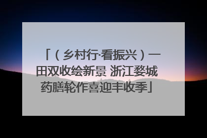 （乡村行·看振兴）一田双收绘新景 浙江婺城药膳轮作喜迎丰收季