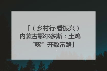 （乡村行·看振兴）内蒙古鄂尔多斯：土鸡“啄”开致富路