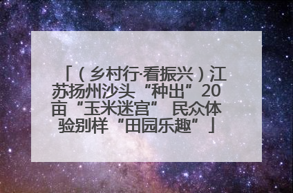 （乡村行·看振兴）江苏扬州沙头“种出”20亩“玉米迷宫” 民众体验别样“田园乐趣”