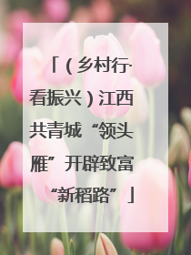 （乡村行·看振兴）江西共青城“领头雁”开辟致富“新稻路”