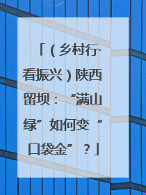 （乡村行·看振兴）陕西留坝：“满山绿”如何变“口袋金”？