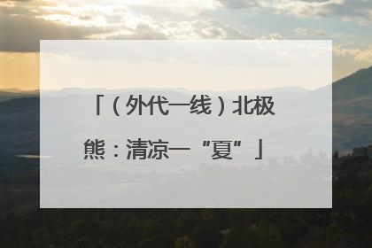 （外代一线）北极熊：清凉一“夏”
