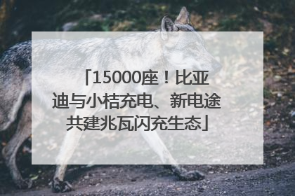 15000座！比亚迪与小桔充电、新电途共建兆瓦闪充生态