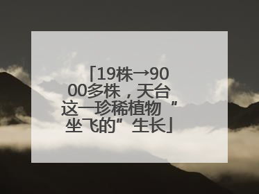 19株→9000多株，天台这一珍稀植物“坐飞的”生长
