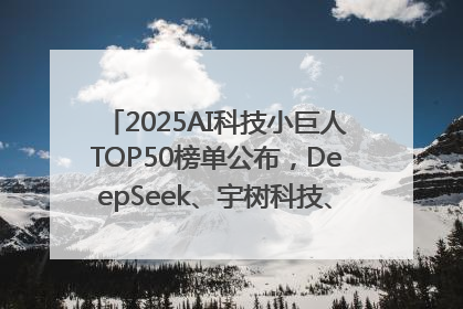2025AI科技小巨人TOP50榜单公布，DeepSeek、宇树科技、蘑菇车联等企业荣誉上榜