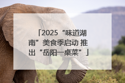 2025“味道湖南”美食季启动 推出“岳阳一桌菜”