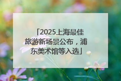 2025上海最佳旅游新场景公布，浦东美术馆等入选