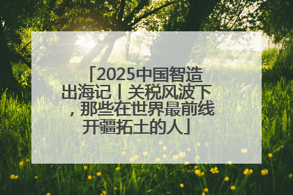 2025中国智造出海记丨关税风波下，那些在世界最前线开疆拓土的人