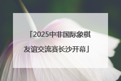 2025中非国际象棋友谊交流赛长沙开幕