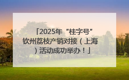 2025年“桂字号”钦州荔枝产销对接（上海）活动成功举办！