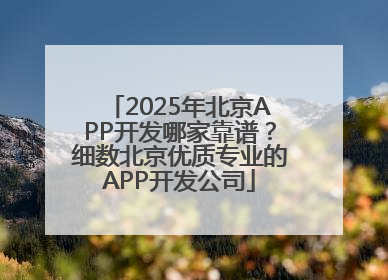 2025年北京APP开发哪家靠谱？细数北京优质专业的APP开发公司