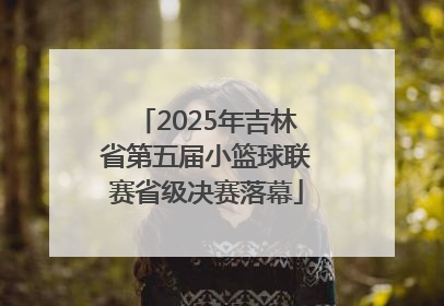 2025年吉林省第五届小篮球联赛省级决赛落幕